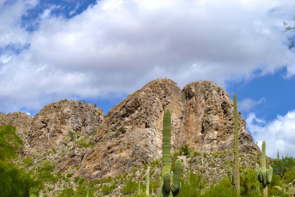 Gold Canyon Golf Resort Zimmer foto